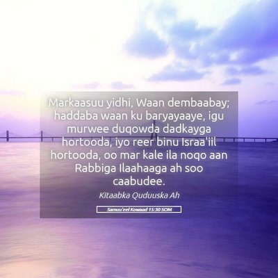 Picture 05 - Samuu'eel Kowaad 15:30 SOM - Markaasuu yidhi, Waan dembaabay; haddaba waan ku - Bible Verse Picture