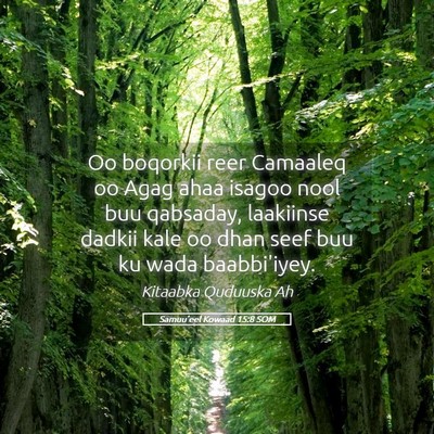 Picture 05 - Samuu'eel Kowaad 15:8 SOM - Oo boqorkii reer Camaaleq oo Agag ahaa isagoo - Bible Verse Picture