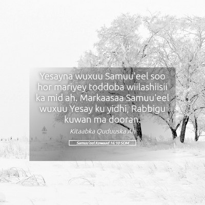 Picture 05 - Samuu'eel Kowaad 16:10 SOM - Yesayna wuxuu Samuu'eel soo hor mariyey toddoba - Bible Verse Picture