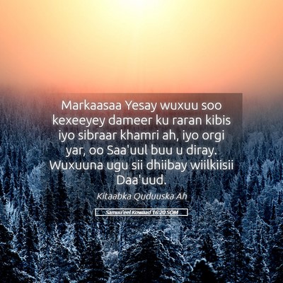 Picture 05 - Samuu'eel Kowaad 16:20 SOM - Markaasaa Yesay wuxuu soo kexeeyey dameer ku - Bible Verse Picture