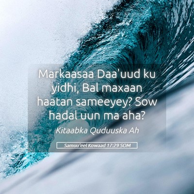 Picture 05 - Samuu'eel Kowaad 17:29 SOM - Markaasaa Daa'uud ku yidhi, Bal maxaan haatan - Bible Verse Picture