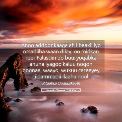 Picture 05 - Samuu'eel Kowaad 17:36 SOM - Anoo addoonkaaga ah libaaxii iyo orsadiiba waan - Bible Verse Picture
