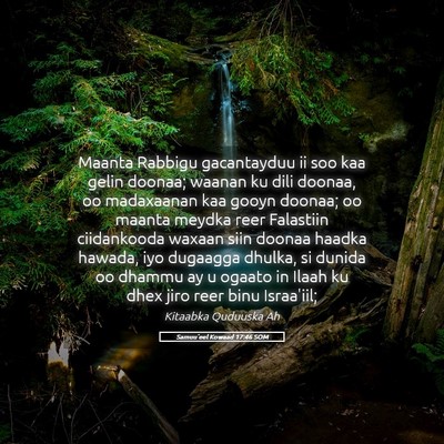 Picture 05 - Samuu'eel Kowaad 17:46 SOM - Maanta Rabbigu gacantayduu ii soo kaa gelin - Bible Verse Picture