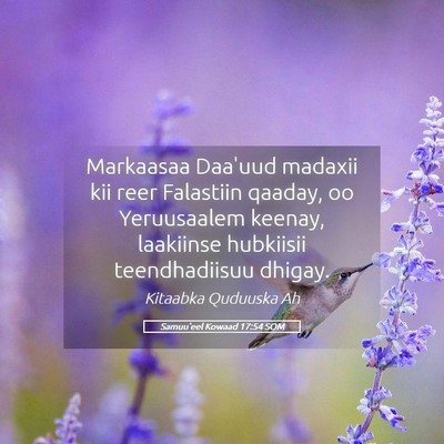 Picture 05 - Samuu'eel Kowaad 17:54 SOM - Markaasaa Daa'uud madaxii kii reer Falastiin - Bible Verse Picture