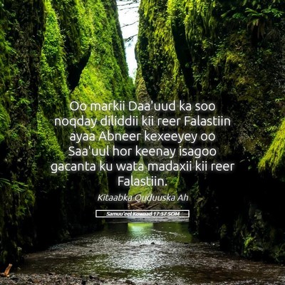Picture 05 - Samuu'eel Kowaad 17:57 SOM - Oo markii Daa'uud ka soo noqday diliddii kii reer - Bible Verse Picture