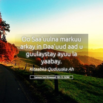 Picture 05 - Samuu'eel Kowaad 18:15 SOM - Oo Saa'uulna markuu arkay in Daa'uud aad u - Bible Verse Picture