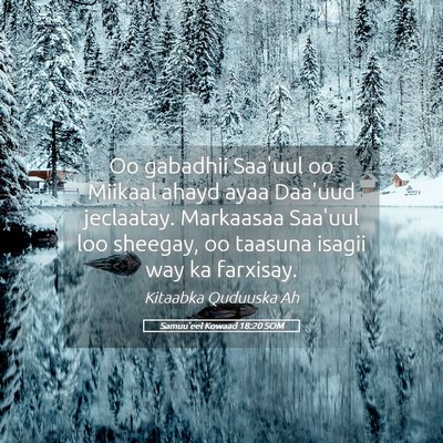 Picture 05 - Samuu'eel Kowaad 18:20 SOM - Oo gabadhii Saa'uul oo Miikaal ahayd ayaa Daa'uud - Bible Verse Picture