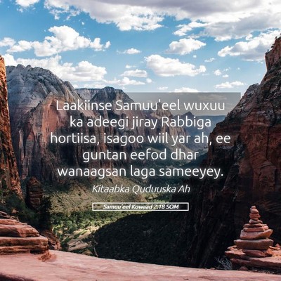 Picture 05 - Samuu'eel Kowaad 2:18 SOM - Laakiinse Samuu'eel wuxuu ka adeegi jiray Rabbiga - Bible Verse Picture