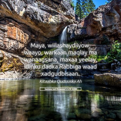 Picture 05 - Samuu'eel Kowaad 2:24 SOM - Maya, wiilashaydiiyow, waayo, warkaan maqlay ma - Bible Verse Picture