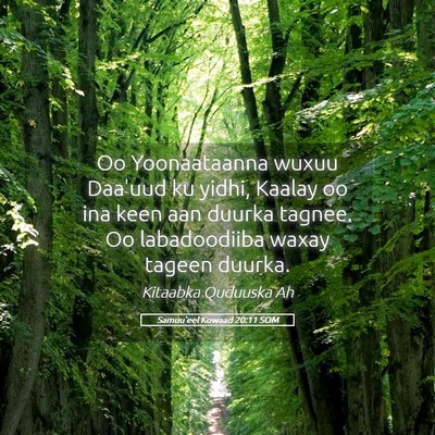Picture 05 - Samuu'eel Kowaad 20:11 SOM - Oo Yoonaataanna wuxuu Daa'uud ku yidhi, Kaalay oo - Bible Verse Picture
