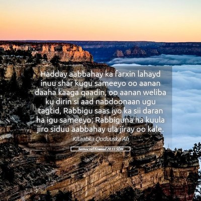 Picture 05 - Samuu'eel Kowaad 20:13 SOM - Hadday aabbahay ka farxin lahayd inuu shar kugu - Bible Verse Picture