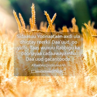 Picture 05 - Samuu'eel Kowaad 20:16 SOM - Sidaasuu Yoonaataan axdi ula dhigtay reerkii - Bible Verse Picture