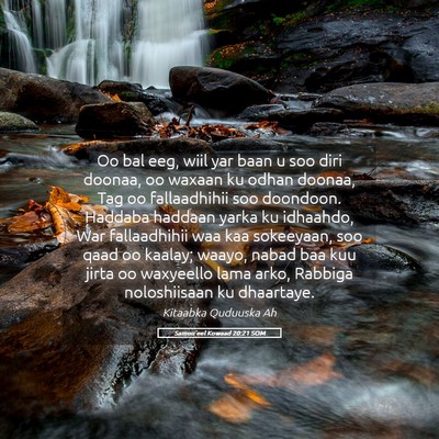 Picture 05 - Samuu'eel Kowaad 20:21 SOM - Oo bal eeg, wiil yar baan u soo diri doonaa, oo - Bible Verse Picture