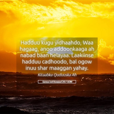 Picture 05 - Samuu'eel Kowaad 20:7 SOM - Hadduu kugu yidhaahdo, Waa hagaag, anoo - Bible Verse Picture
