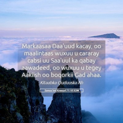 Picture 05 - Samuu'eel Kowaad 21:10 SOM - Markaasaa Daa'uud kacay, oo maalintaas wuxuu u - Bible Verse Picture