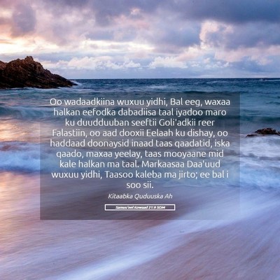 Picture 05 - Samuu'eel Kowaad 21:9 SOM - Oo wadaadkiina wuxuu yidhi, Bal eeg, waxaa halkan - Bible Verse Picture