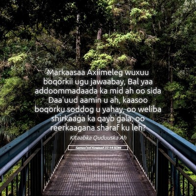 Picture 05 - Samuu'eel Kowaad 22:14 SOM - Markaasaa Axiimeleg wuxuu boqorkii ugu jawaabay, - Bible Verse Picture