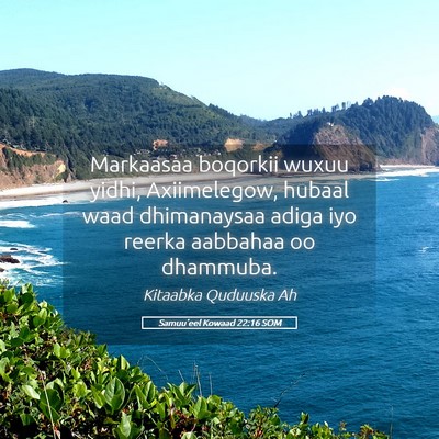 Picture 05 - Samuu'eel Kowaad 22:16 SOM - Markaasaa boqorkii wuxuu yidhi, Axiimelegow, - Bible Verse Picture