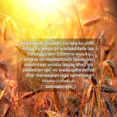 Picture 05 - Samuu'eel Kowaad 22:18 SOM - Markaasaa boqorkii Do'eeg ku yidhi, Adigu ku - Bible Verse Picture
