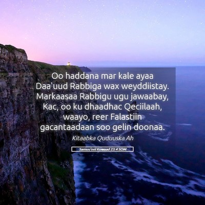 Picture 05 - Samuu'eel Kowaad 23:4 SOM - Oo haddana mar kale ayaa Daa'uud Rabbiga wax - Bible Verse Picture