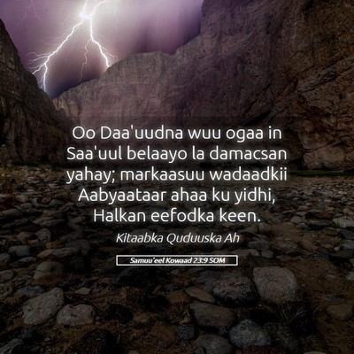Picture 05 - Samuu'eel Kowaad 23:9 SOM - Oo Daa'uudna wuu ogaa in Saa'uul belaayo la - Bible Verse Picture