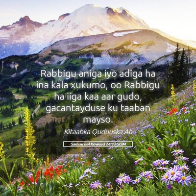 Picture 05 - Samuu'eel Kowaad 24:12 SOM - Rabbigu aniga iyo adiga ha ina kala xukumo, oo - Bible Verse Picture