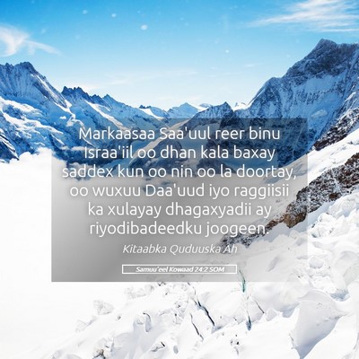 Picture 05 - Samuu'eel Kowaad 24:2 SOM - Markaasaa Saa'uul reer binu Israa'iil oo dhan - Bible Verse Picture