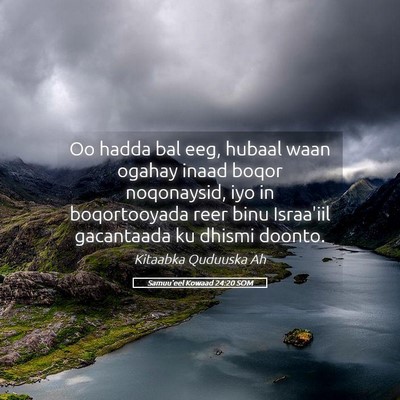 Picture 05 - Samuu'eel Kowaad 24:20 SOM - Oo hadda bal eeg, hubaal waan ogahay inaad boqor - Bible Verse Picture