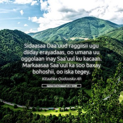 Picture 05 - Samuu'eel Kowaad 24:7 SOM - Sidaasaa Daa'uud raggiisii ugu diiday erayadaas, - Bible Verse Picture