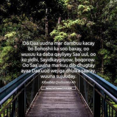 Picture 05 - Samuu'eel Kowaad 24:8 SOM - Oo Daa'uudna mar dambuu kacay oo bohoshii ka soo - Bible Verse Picture