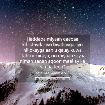 Picture 05 - Samuu'eel Kowaad 25:11 SOM - Haddaba miyaan qaadaa kibistayda, iyo biyahayga, - Bible Verse Picture