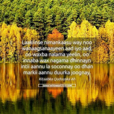 Picture 05 - Samuu'eel Kowaad 25:15 SOM - Laakiinse nimankaasu way noo wanaagsanaayeen aad - Bible Verse Picture