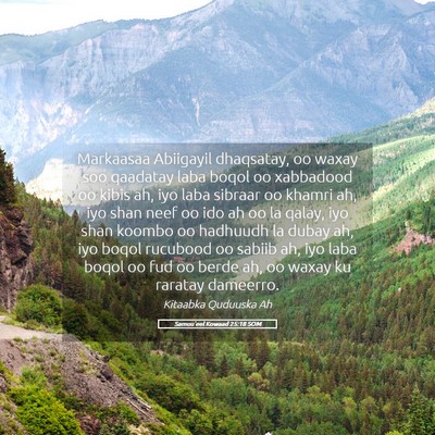Picture 05 - Samuu'eel Kowaad 25:18 SOM - Markaasaa Abiigayil dhaqsatay, oo waxay soo - Bible Verse Picture