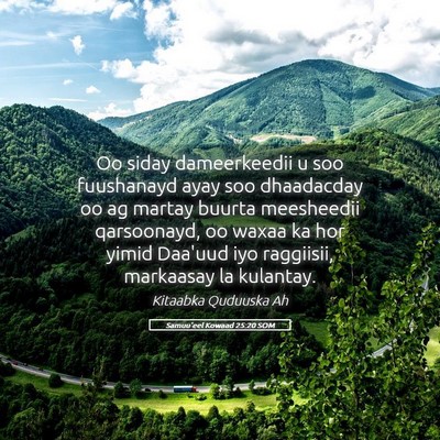 Picture 05 - Samuu'eel Kowaad 25:20 SOM - Oo siday dameerkeedii u soo fuushanayd ayay soo - Bible Verse Picture