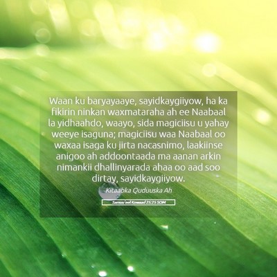 Picture 05 - Samuu'eel Kowaad 25:25 SOM - Waan ku baryayaaye, sayidkaygiiyow, ha ka fikirin - Bible Verse Picture