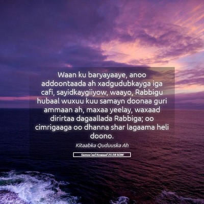 Picture 05 - Samuu'eel Kowaad 25:28 SOM - Waan ku baryayaaye, anoo addoontaada ah - Bible Verse Picture