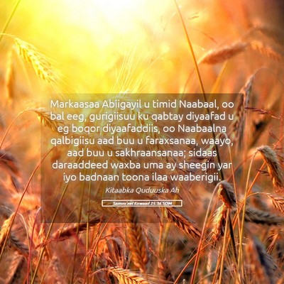 Picture 05 - Samuu'eel Kowaad 25:36 SOM - Markaasaa Abiigayil u timid Naabaal, oo bal eeg, - Bible Verse Picture