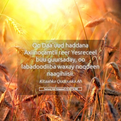 Picture 05 - Samuu'eel Kowaad 25:43 SOM - Oo Daa'uud haddana Axiinocamtii reer Yesreceel - Bible Verse Picture
