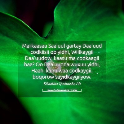 Picture 05 - Samuu'eel Kowaad 26:17 SOM - Markaasaa Saa'uul gartay Daa'uud codkiisii oo - Bible Verse Picture
