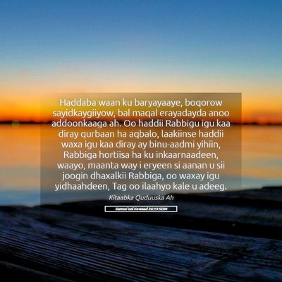 Picture 05 - Samuu'eel Kowaad 26:19 SOM - Haddaba waan ku baryayaaye, boqorow - Bible Verse Picture