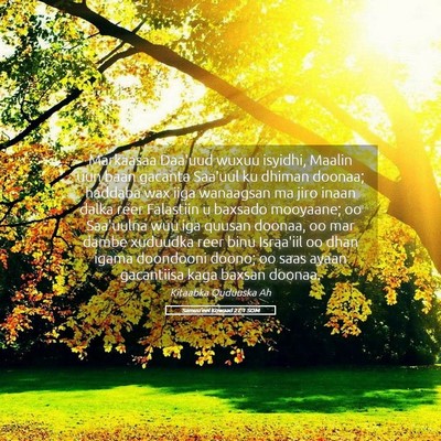 Picture 05 - Samuu'eel Kowaad 27:1 SOM - Markaasaa Daa'uud wuxuu isyidhi, Maalin uun baan - Bible Verse Picture