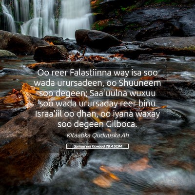 Picture 05 - Samuu'eel Kowaad 28:4 SOM - Oo reer Falastiinna way isa soo wada urursadeen, - Bible Verse Picture