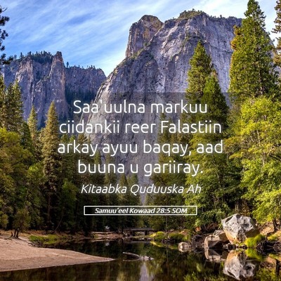 Picture 05 - Samuu'eel Kowaad 28:5 SOM - Saa'uulna markuu ciidankii reer Falastiin arkay - Bible Verse Picture
