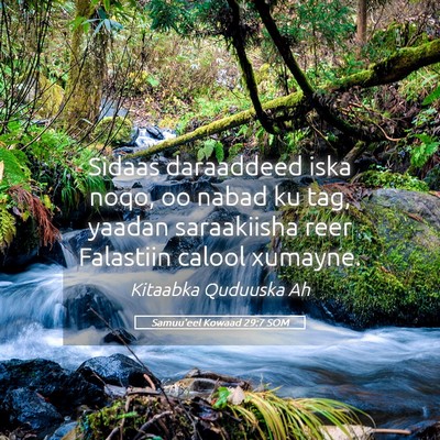 Picture 05 - Samuu'eel Kowaad 29:7 SOM - Sidaas daraaddeed iska noqo, oo nabad ku tag, - Bible Verse Picture