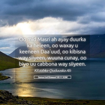 Picture 05 - Samuu'eel Kowaad 30:11 SOM - Oo mid Masri ah ayay duurka ka heleen, oo waxay u - Bible Verse Picture