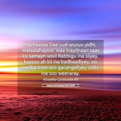 Picture 05 - Samuu'eel Kowaad 30:23 SOM - Markaasaa Daa'uud wuxuu yidhi, Walaalahayow, waa - Bible Verse Picture