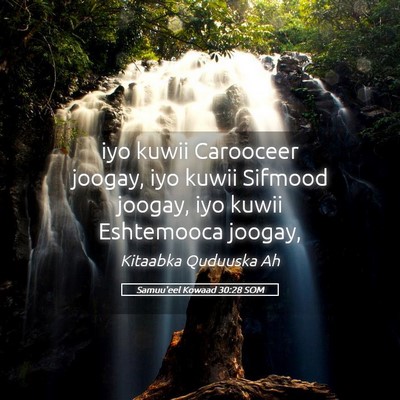 Picture 05 - Samuu'eel Kowaad 30:28 SOM - iyo kuwii Carooceer joogay, iyo kuwii Sifmood - Bible Verse Picture