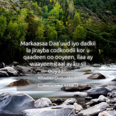 Picture 05 - Samuu'eel Kowaad 30:4 SOM - Markaasaa Daa'uud iyo dadkii la jirayba codkoodii - Bible Verse Picture