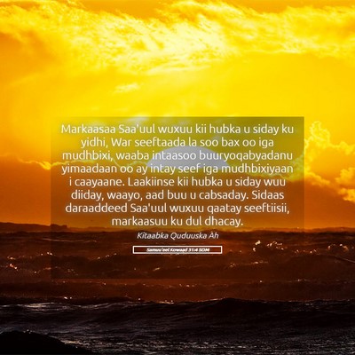 Picture 05 - Samuu'eel Kowaad 31:4 SOM - Markaasaa Saa'uul wuxuu kii hubka u siday ku - Bible Verse Picture