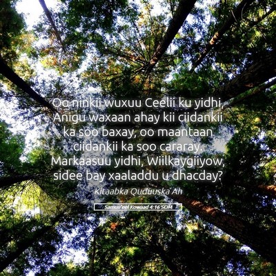 Picture 05 - Samuu'eel Kowaad 4:16 SOM - Oo ninkii wuxuu Ceelii ku yidhi, Anigu waxaan - Bible Verse Picture